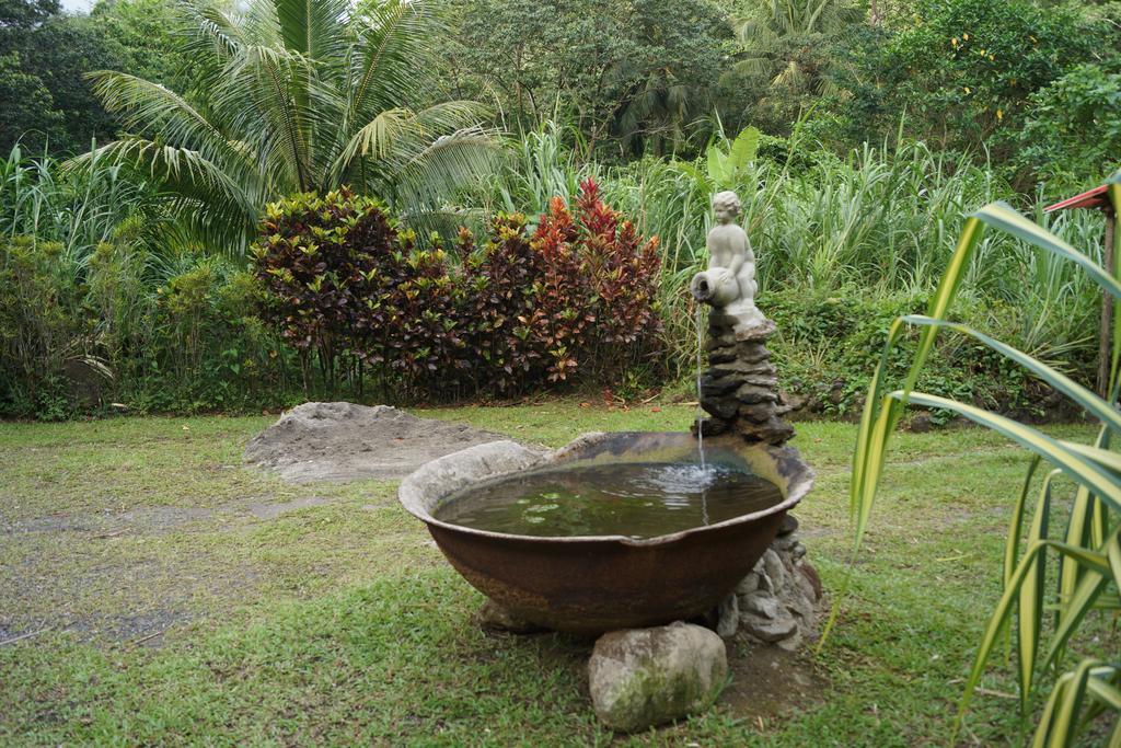 Natty Tropical Valley Roseau Eksteriør billede