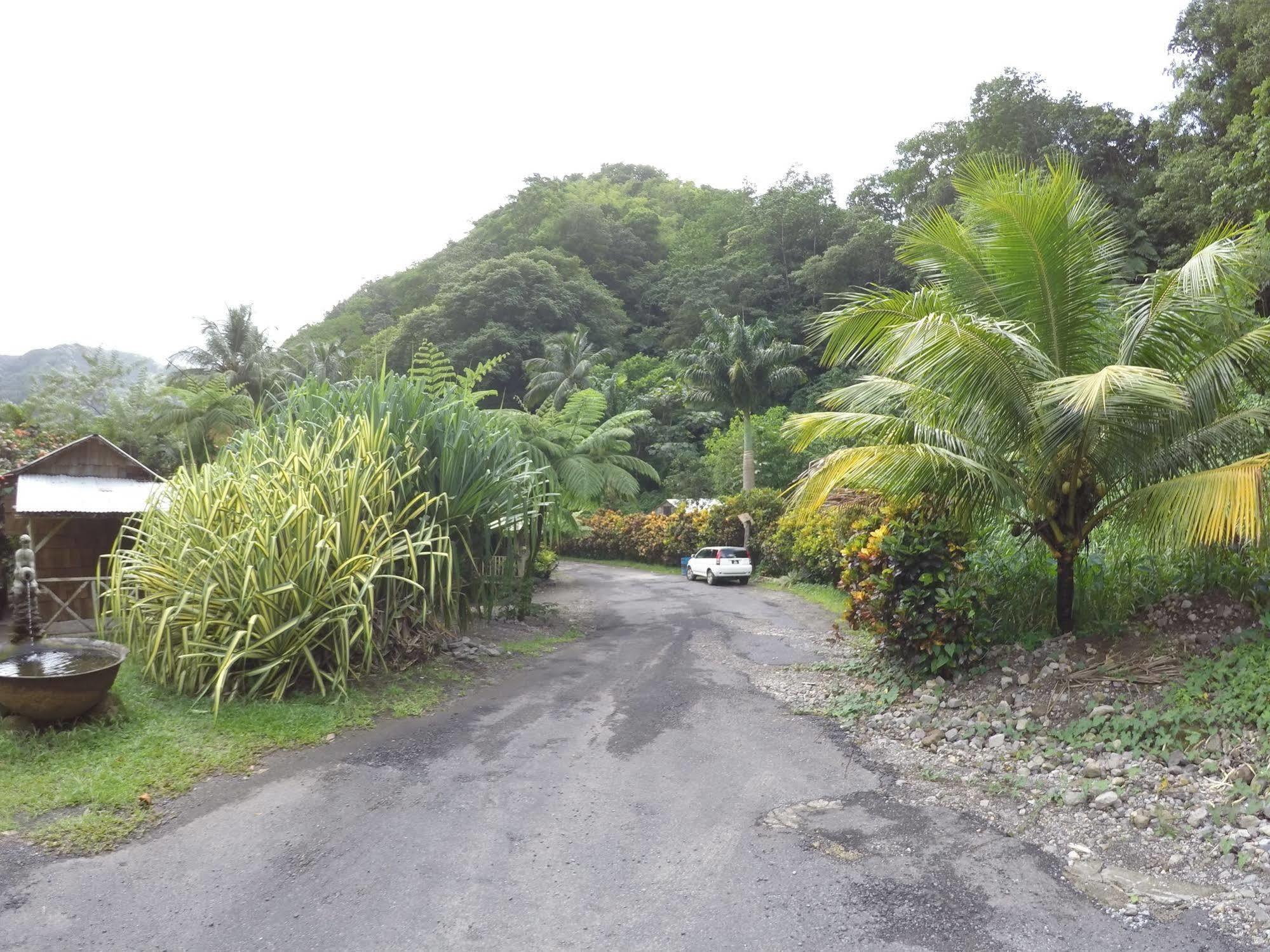 Natty Tropical Valley Roseau Eksteriør billede